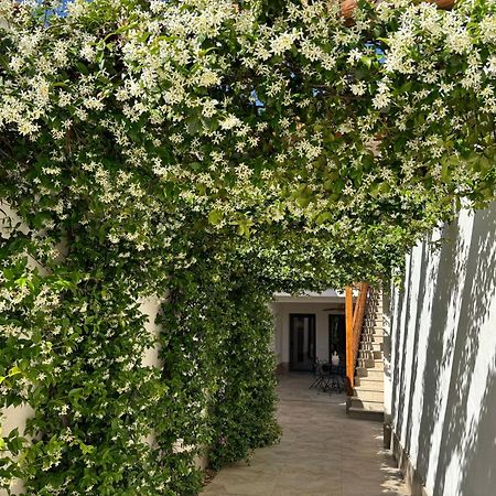 El Patio De Los Jazmines Boutique-House Consuegra Εξωτερικό φωτογραφία