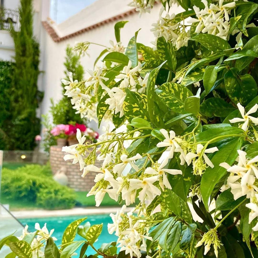 El Patio De Los Jazmines Boutique-House Consuegra Εξωτερικό φωτογραφία